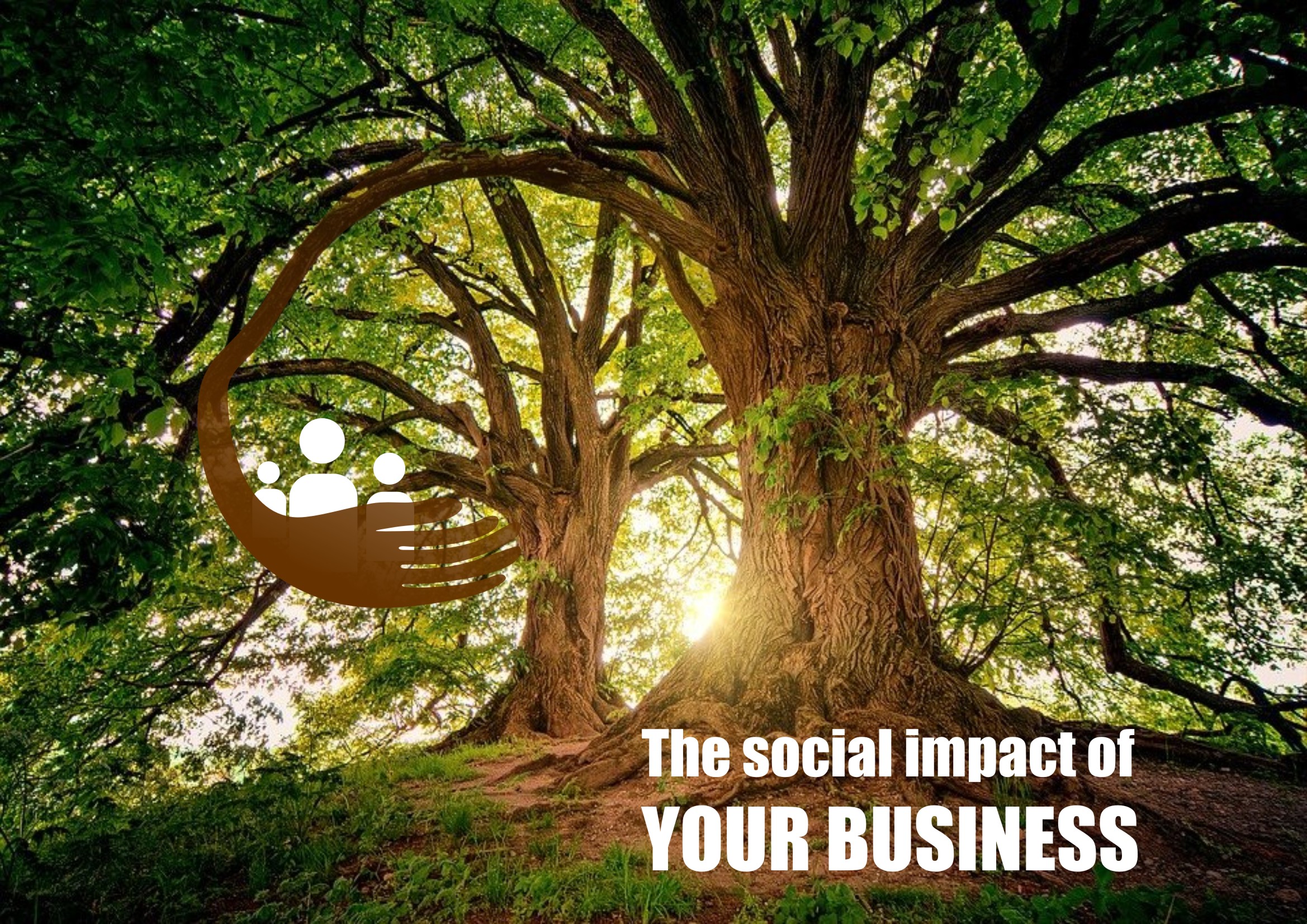 The social impact of your business