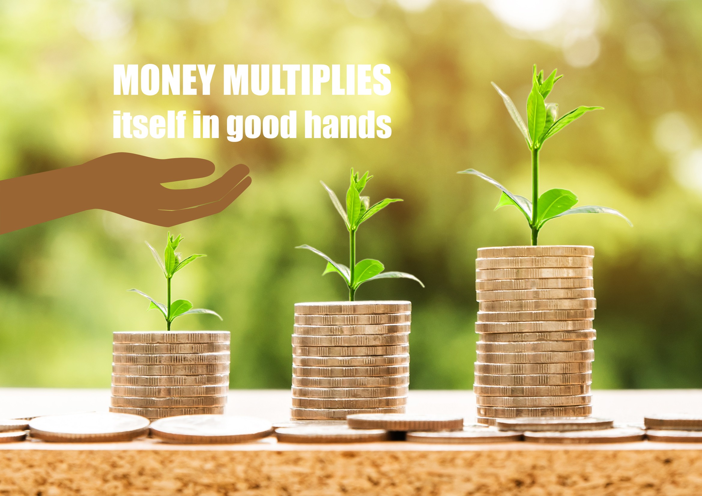 Money multiplies itself in good hands