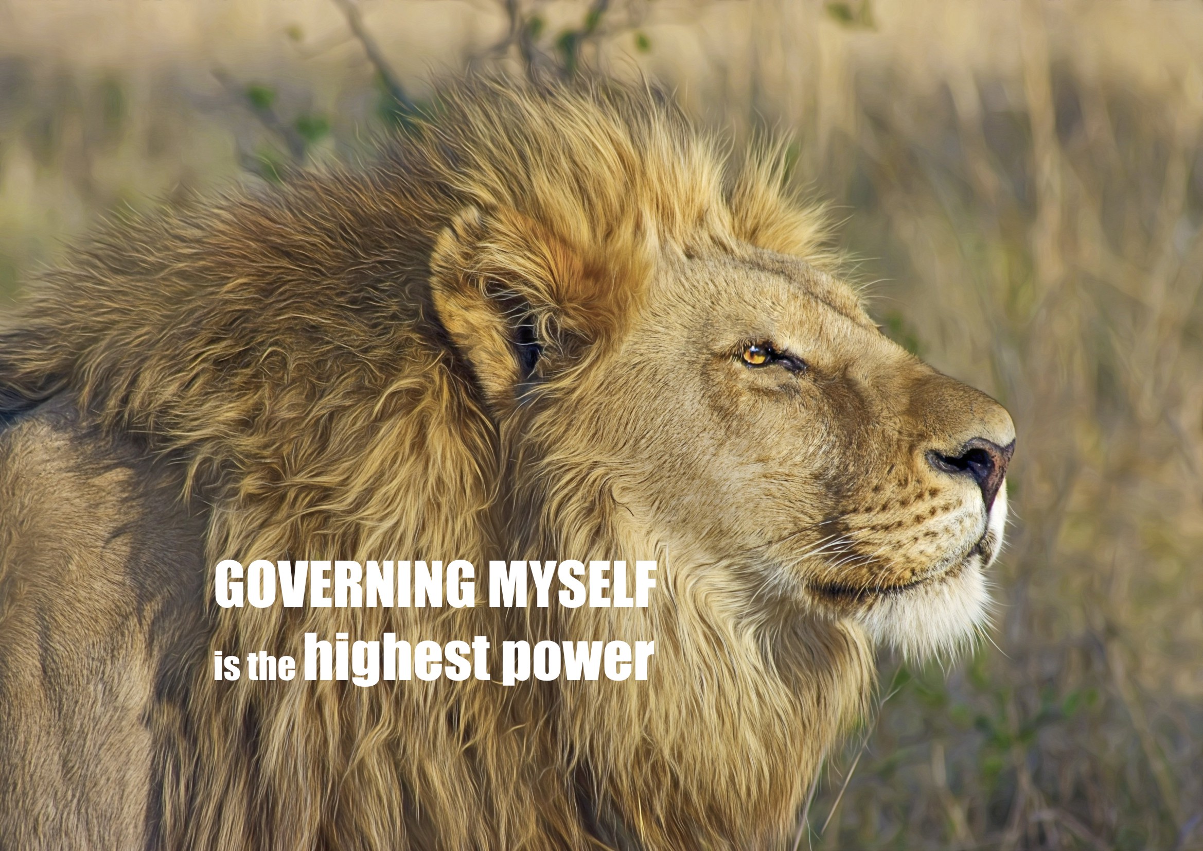 Governing myself is the highest power